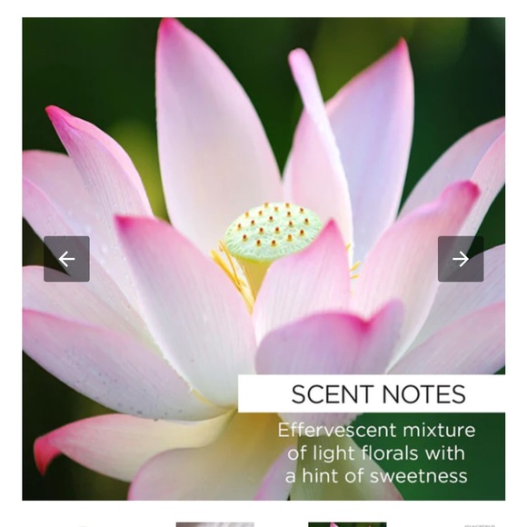 New sealed Whish rose hip + Lotus Mineral Milk Bath - Picture 3 of 5